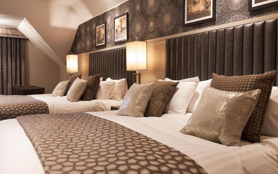 Hotel Tulip Near Delhi Airport Нью-Делі Номер фото